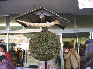 DSC01422.JPG