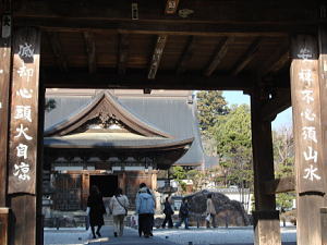 DSC01433.JPG