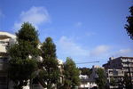 R0013806.JPG