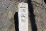R0013819.JPG