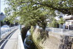 R0013834.JPG