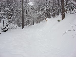 DSC04102.JPG